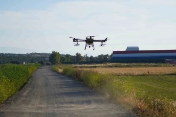 Dron ile sinek öldürüyorlar
