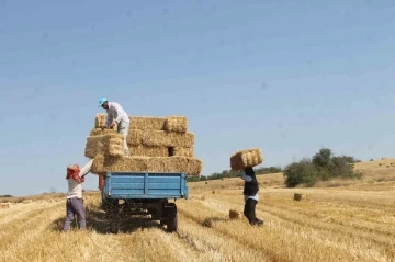 Edirne’de balya işçilerinin kavurucu sıcakta zorlu mesaisi: Günde bin ila bin 500 TL arası kazanıyorlar
