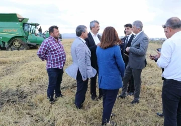 Edirne’de ’beyaz altın’ın hasadı başladı
