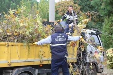 Efeler’in yeşil ekipleri budama mesaisine devam ediyor
