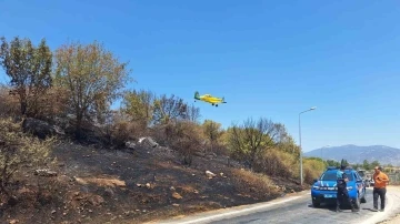 Efes Antik Kenti yakınında korkutan yangın: &quot;8 bin 600 yıllık tarih yok oluyordu&quot;