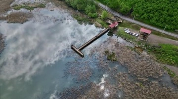 Efteni Gölü havzası son yağışlarla suya doydu