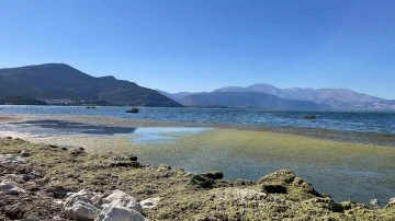 Eğirdir Gölü’nde sular 2 metre çekildi, koku tehdidi başladı
