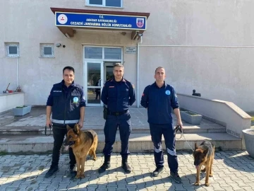 Eğitimlerini tamamlayan 2 köpek jandarmaya sahiplendirildi
