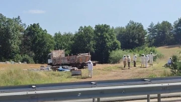 Ekipler 4 ölümlü kazaya arıcı kıyafeti giyerek müdahale etti
