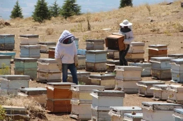 Elazığ Arı Yetiştiricileri Birliği Başkanı Canbay: “Yağışların ileride arıcılar üzerinde olumlu yansıması olacaktır”
