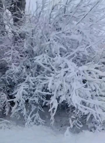 Elazığ Baskil’de kar yağışı etkili oldu
