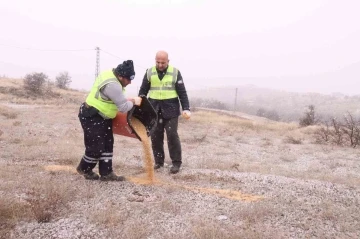 Elazığ Belediyesi yaban ve sokak hayvanları için çalışma başlattı
