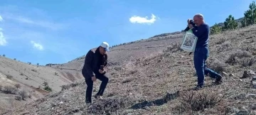 Elazığ’da ’Baskil ters lalesi’  izleme çalışması yapıldı
