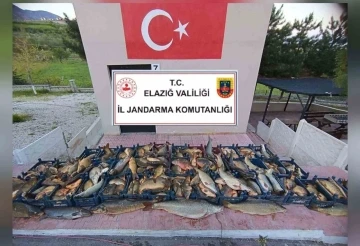 Elazığ’da kaçak balık avına 16 bin lira ceza
