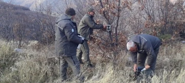 Elazığ’ın yaban hayatı fotokapanlar ile kayıt altına alınıyor
