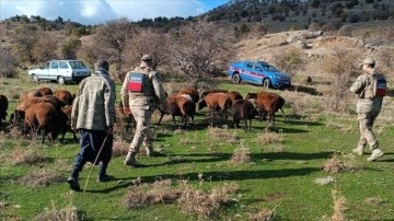 Elazığ'da kaybolan 40 koyun dron görüntüleriyle bulundu