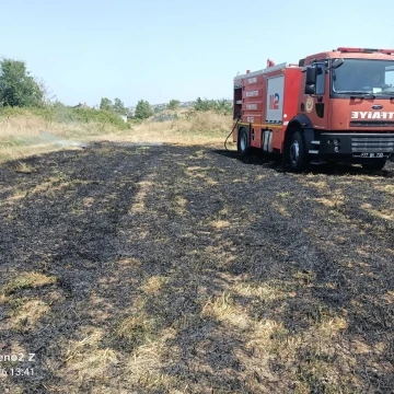 Elektrik tellerine çarpan kuş anız yangını çıkardı
