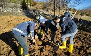 Emet’te ceviz fidanlarının dikimi ile demonstrasyon bahçesi kuruldu
