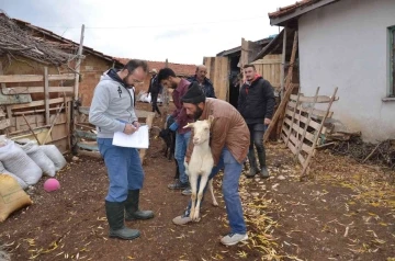 Emet’te &quot;Keçi belediyeden, süt köylüden, peynir kooperatiften&quot; projesi
