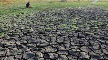 Endonezya'nın Papua eyaletinde kuraklık nedeniyle 6 kişi hayatını kaybetti