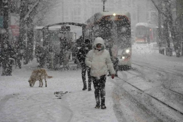 Engelli ve hamile kamu personeline kar izni