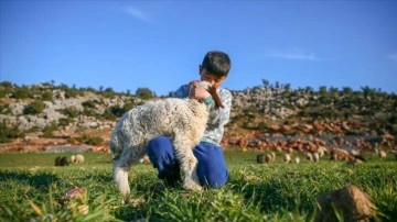 Enkaz altında kalan kuzularına günler sonra kavuştu