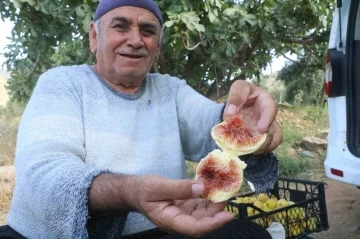 Enkaz kentte ağızları tatlandıran hasat yüz güldürdü
