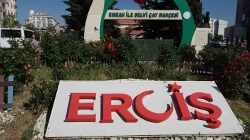 Erciş’te il olma heyecanı
