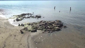 Erdek’te deniz çekildi, antik liman ortaya çıktı