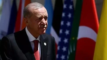 Erdoğan'dan Merih Demiral’ın yaptığı bozkurt işaretiyle ilgili açıklama