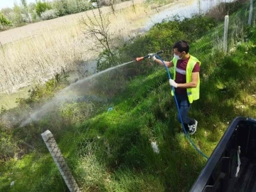 Ereğli Belediyesi haşere ile mücadele çalışmalarına başladı
