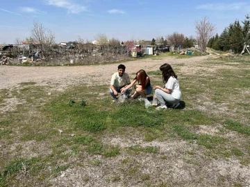 ERÜ’de kampüsün simgesi ‘Gelengiler’ uyandı
