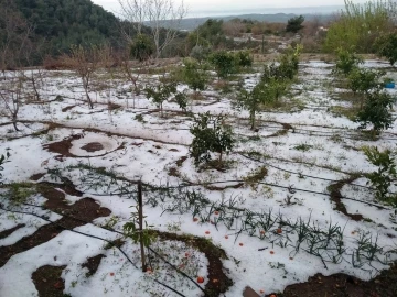 Erzin’de dolu yağışı etkili oldu
