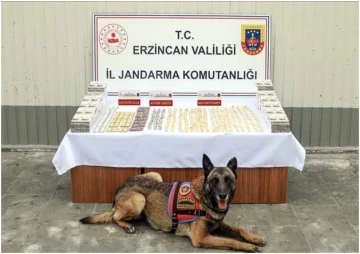 Erzincan’da jandarma ekiplerince 11 faili meçhul olayın 10’u aydınlatıldı
