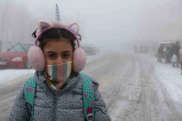 Erzincan’da sis, kar ve soğuk hava etkili oldu
