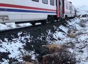 Erzincan'da yük trenin çarptığı çoban hayatını kaybetti