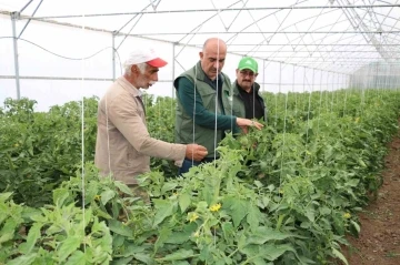 Erzincan son yıllarda yapılan yatırımların meyvelerini toplamaya başladı
