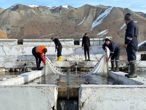 Erzincan Türkiye’nin en büyük Avrupa’nın ise sayılı su ürünleri tesisleri arasında yer alacak
