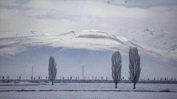 Erzurum, Ardahan, Tunceli ve Kars'ta dondurucu soğuklar hakim