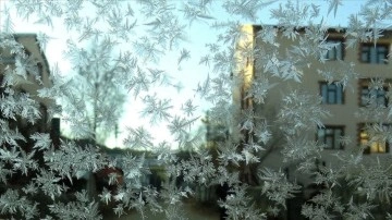 Erzurum, Ardahan ve Kars'ta dondurucu soğuk hava etkili oldu