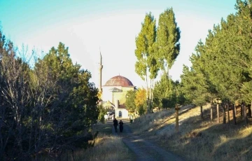 Erzurum’da ormanlık alanlara girişler yasaklandı
