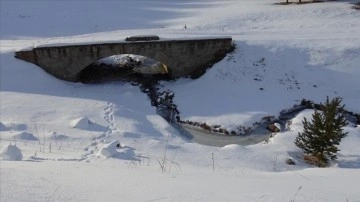 Erzurum, Kars ve Ardahan'da soğuk hava etkisini sürdürüyor