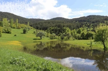 Erzurum’un yaylalarında bahar esintisi
