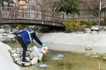 Esenyurt’ta haşerelere karşı ilaçlama yapılıyor
