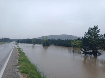 Eskişehir Seyitgazi ilçesi sele teslim oldu
