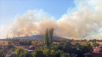 Eskişehir'de çıkan orman yangınına müdahale ediliyor