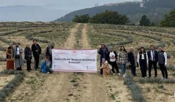 Eskişehirli hanımlar safran diyarı Safranbolu’da söz verdi
