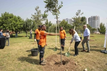 Etik Haftası kapsamında 68’liler Barış Ormanı’nda fidan dikimi gerçekleştirildi
