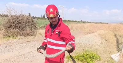 Evin bahçesine giren yılanı itfaiye yakaladı
