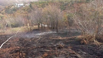 Eyüpsultan’da ağaçlık alanda çıkan yangında faciadan dönüldü
