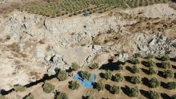 Fay hattının ortadan ikiye ayırdığı bahçede tedirgin eden hasat başladı
