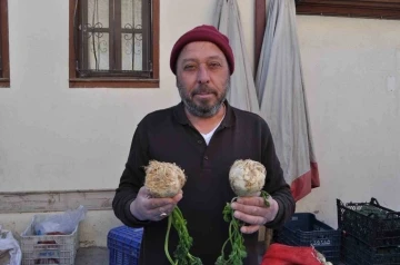 Faydaları saymakla bitmeyen kerevize pazarda ilgi yoğun
