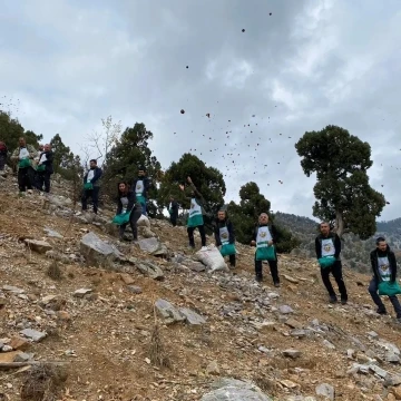 Feke’de sedir tohumları toprakla buluştu
