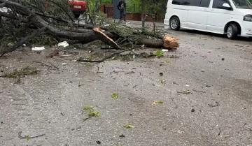 Fırtına hayatı felç etti: Çatılar uçtu, ağaçlar devrildi